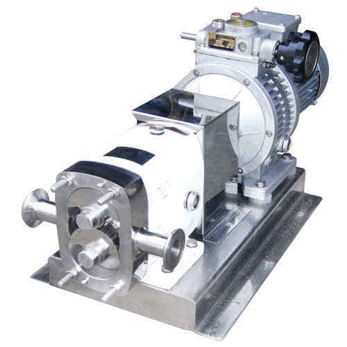 Single-Wing Rotor Pump