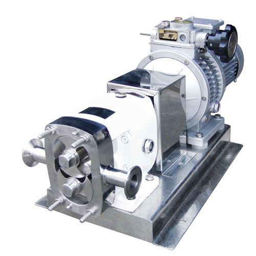 Double-Wing Rotor Pump